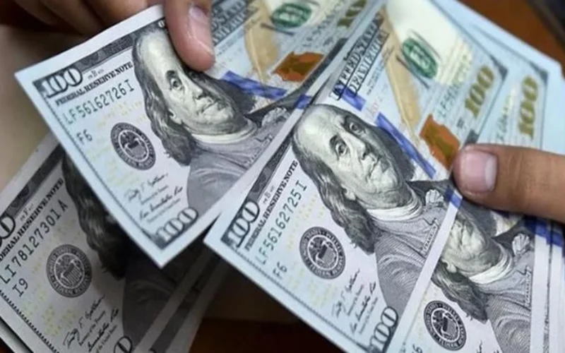 تأثير قرار الفيدرالي الأمريكي بتثبيت الفائدة على سعر الدولار في مصر